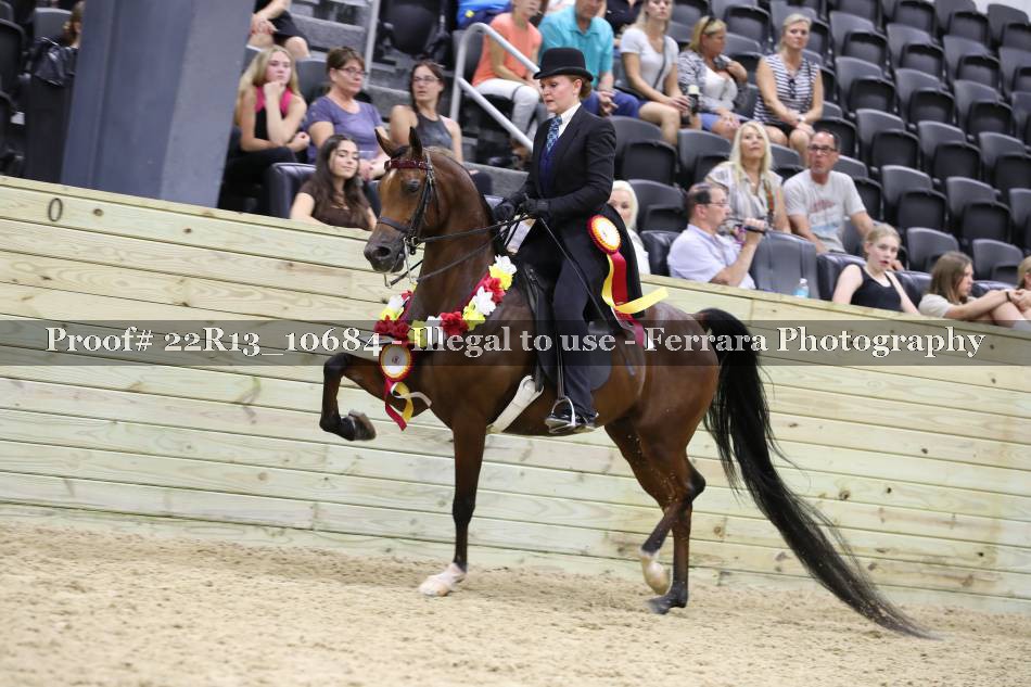 Proof 22R13_10684