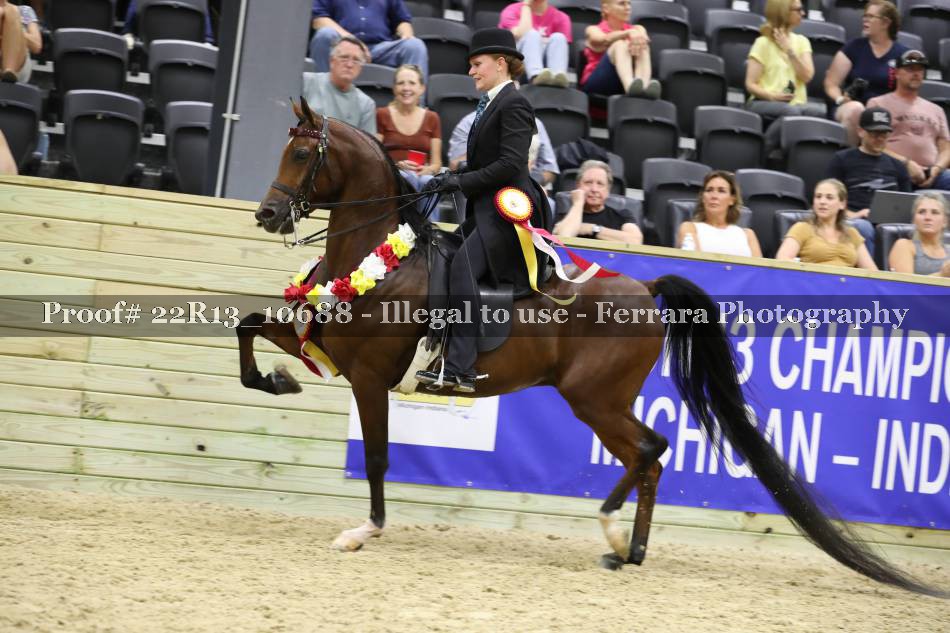 Proof 22R13_10688