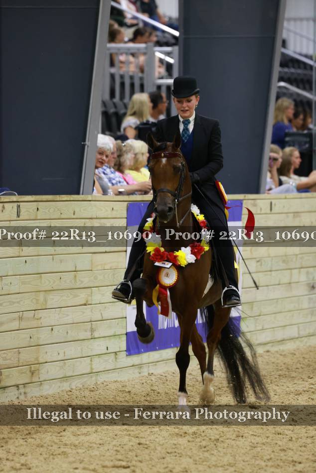 Proof 22R13_10690
