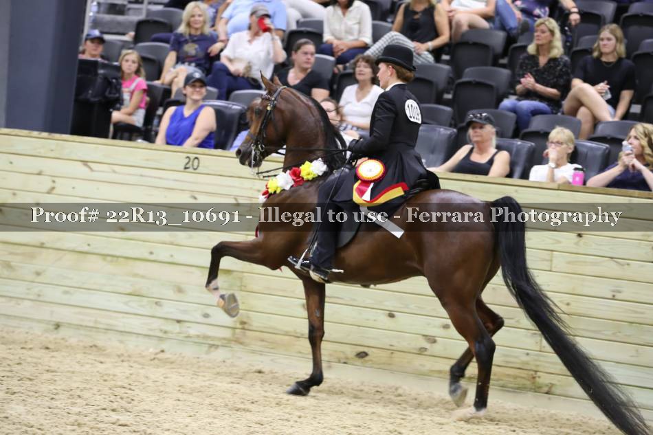 Proof 22R13_10691