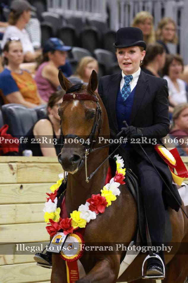 Proof 22R13_10694