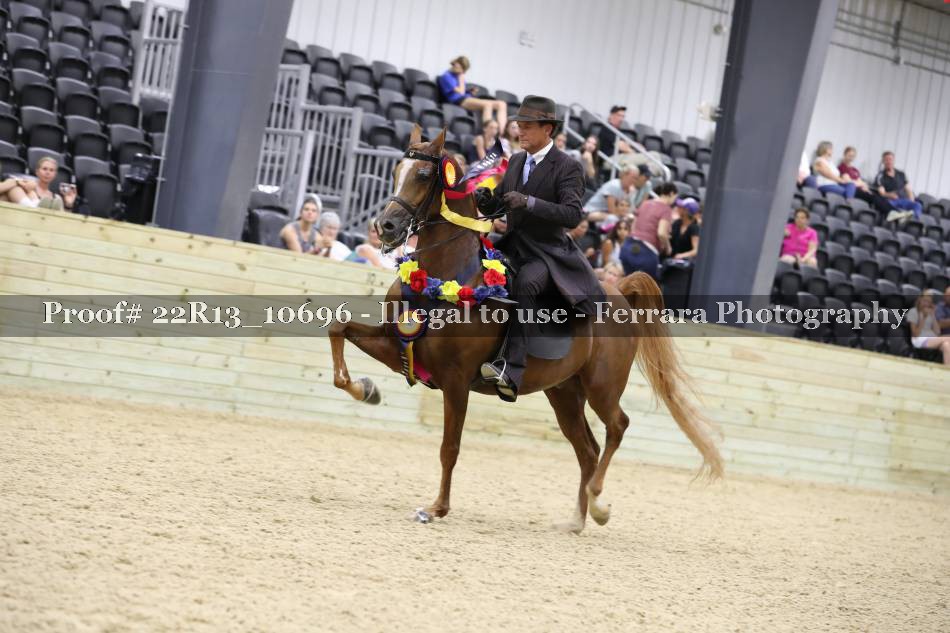 Proof 22R13_10696