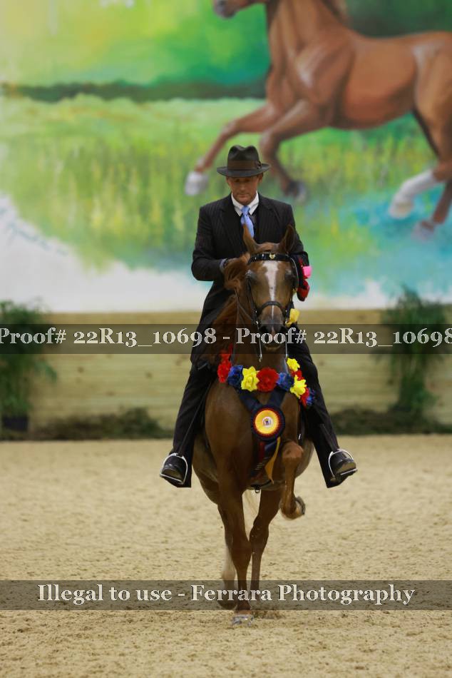 Proof 22R13_10698