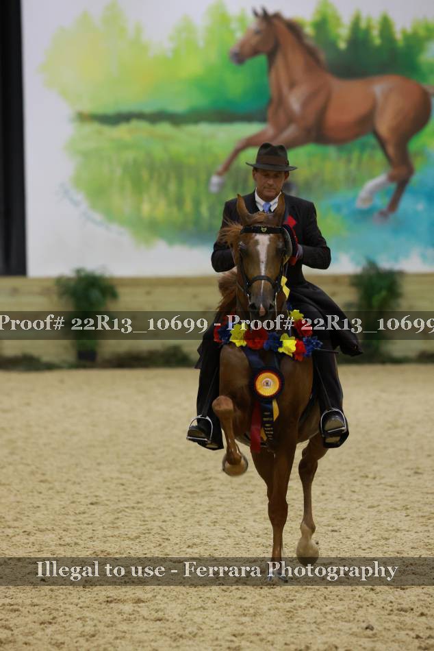 Proof 22R13_10699