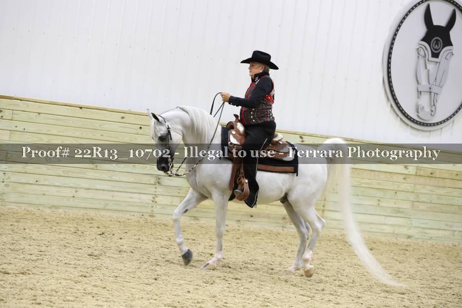 Proof 22R13_10702