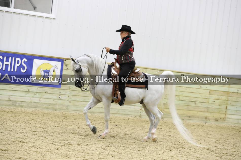 Proof 22R13_10703