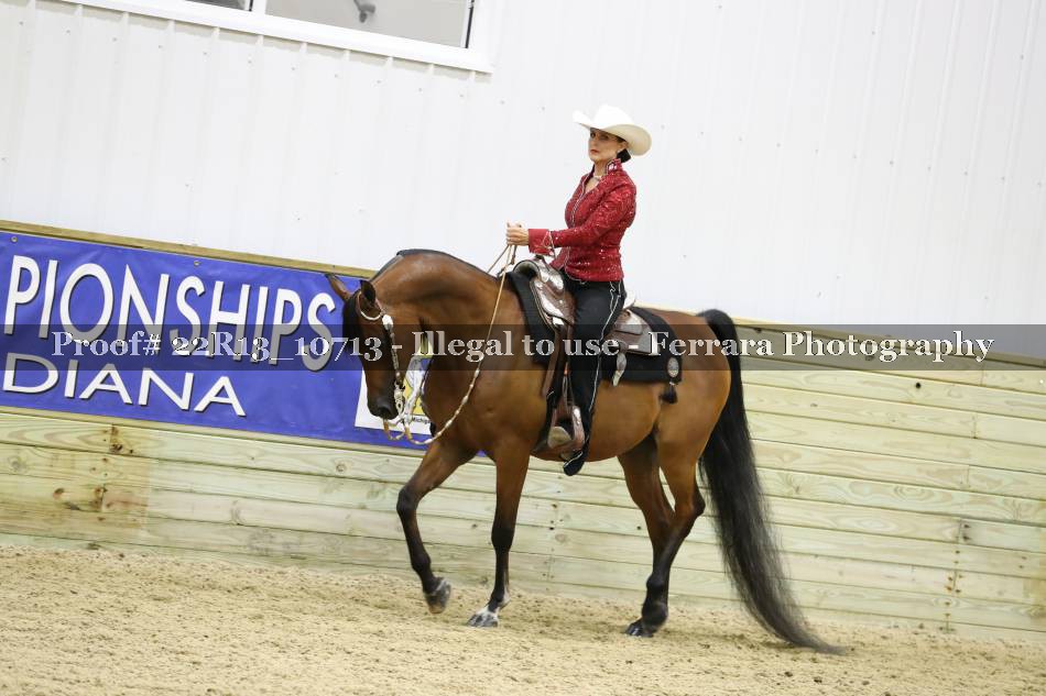 Proof 22R13_10713