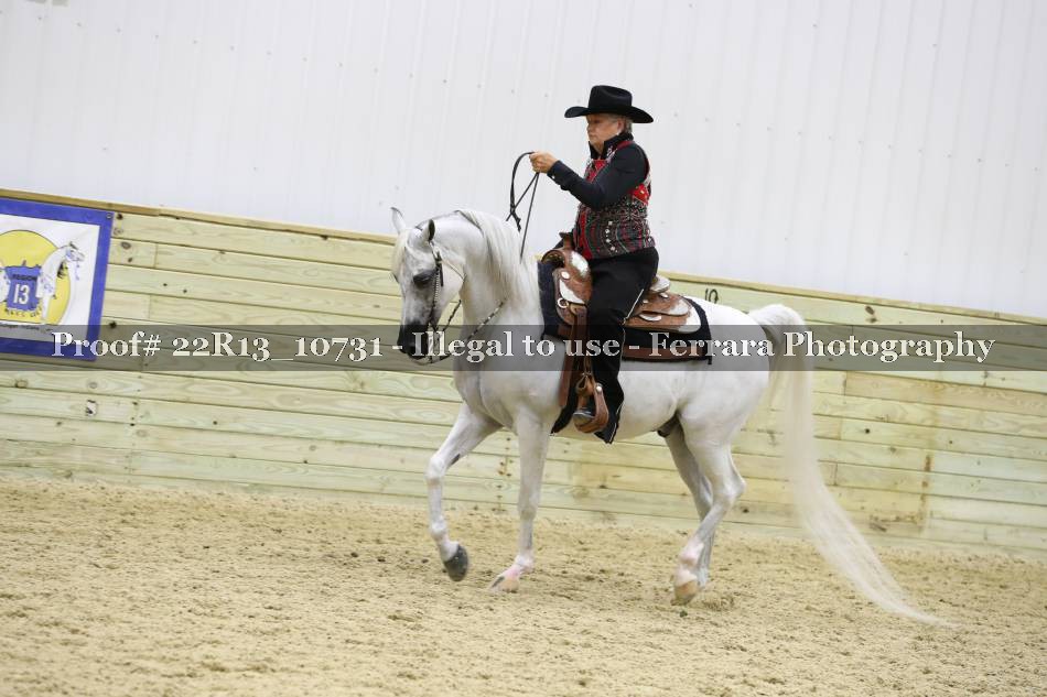 Proof 22R13_10731