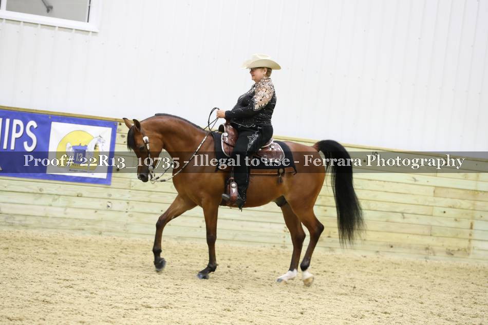 Proof 22R13_10735