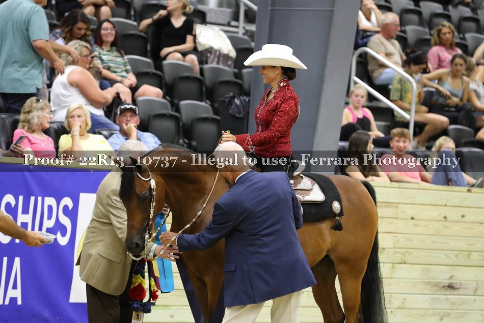 Proof 22R13_10737