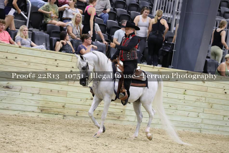Proof 22R13_10751