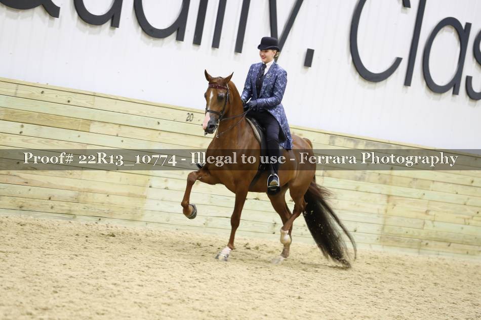 Proof 22R13_10774
