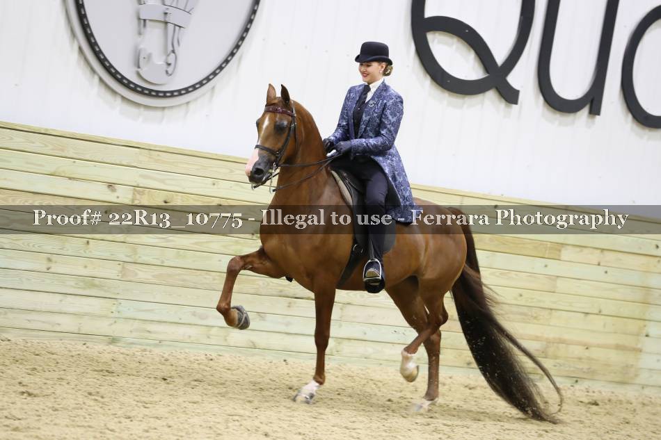 Proof 22R13_10775