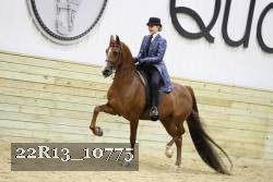 22R13_10775 proof