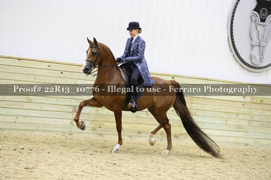 Proof 22R13_10776