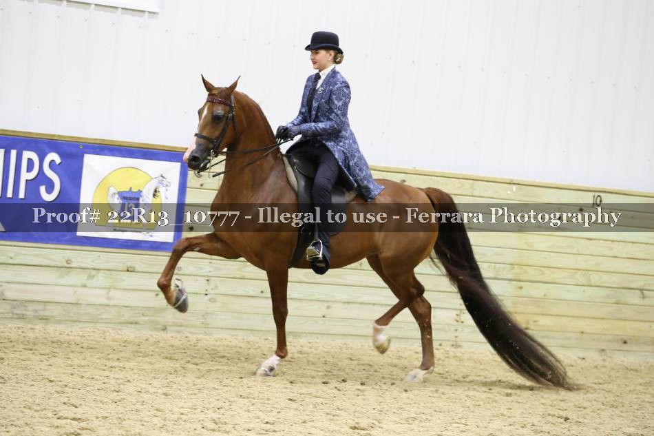 Proof 22R13_10777