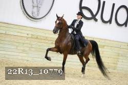 22R13_10779 proof