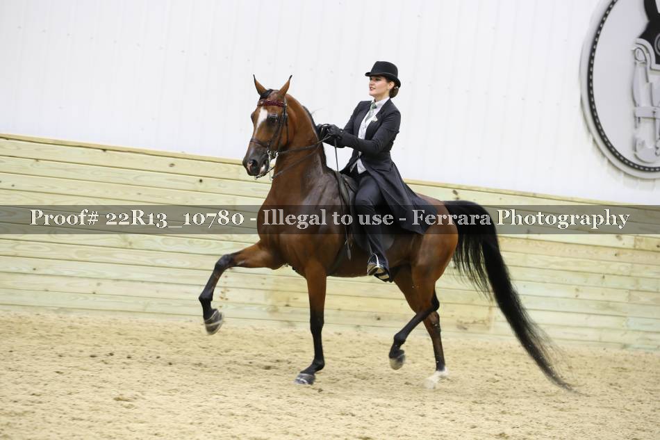 Proof 22R13_10780