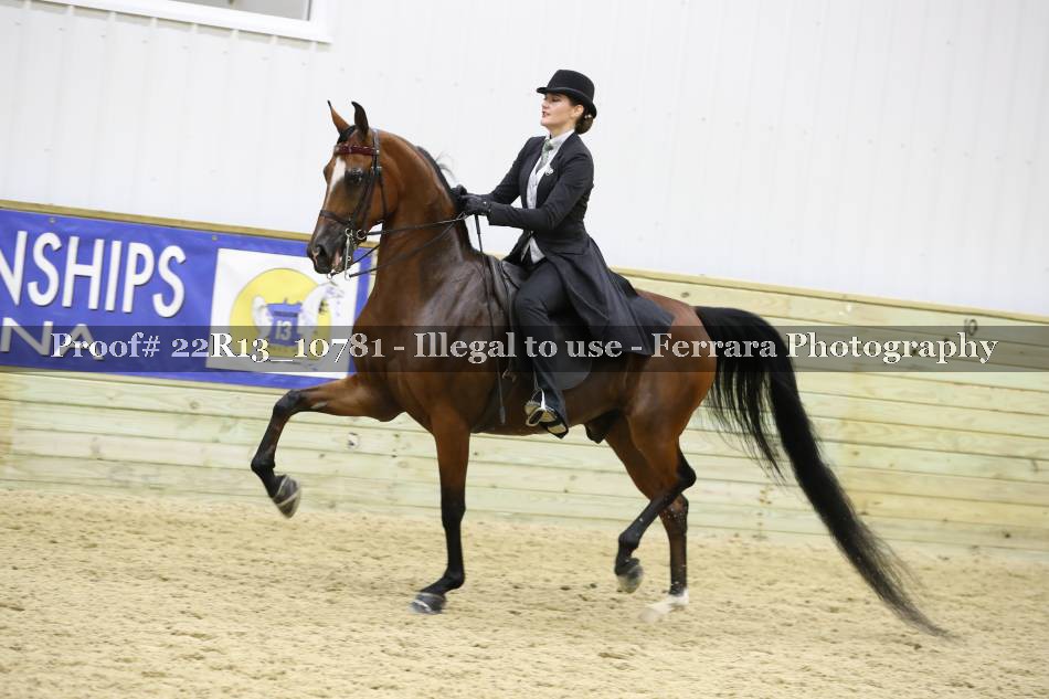 Proof 22R13_10781