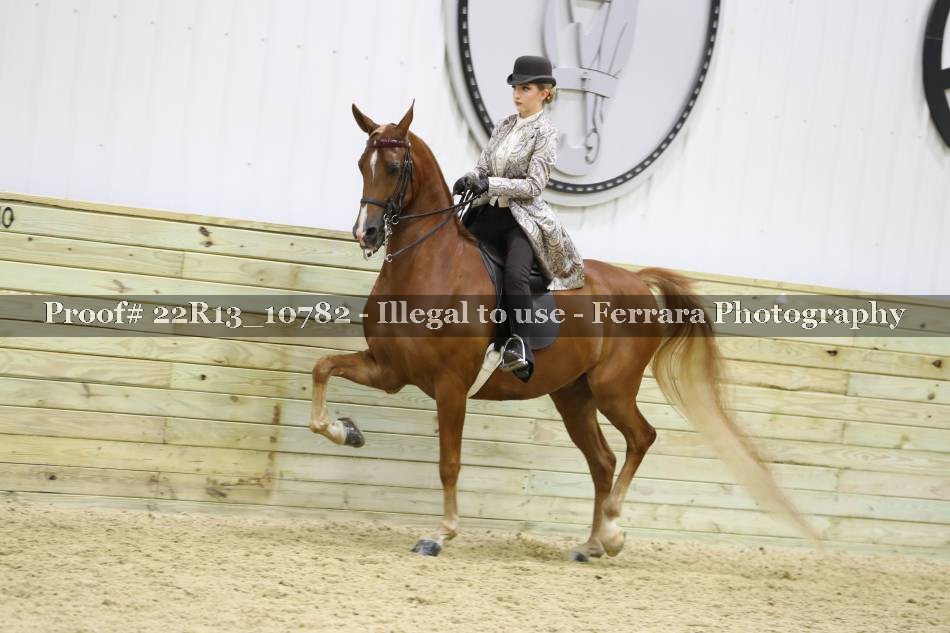 Proof 22R13_10782