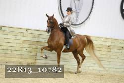 22R13_10782 proof