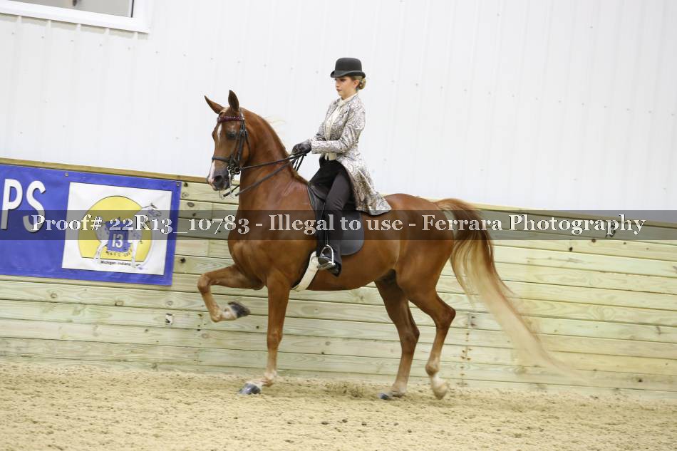 Proof 22R13_10783