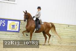 22R13_10783 proof