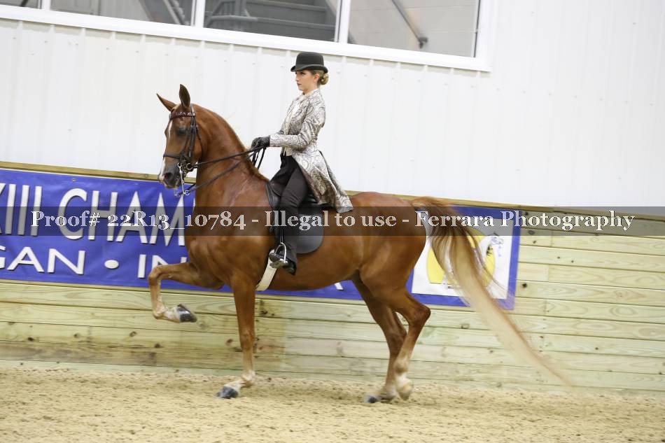 Proof 22R13_10784