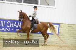 22R13_10784 proof