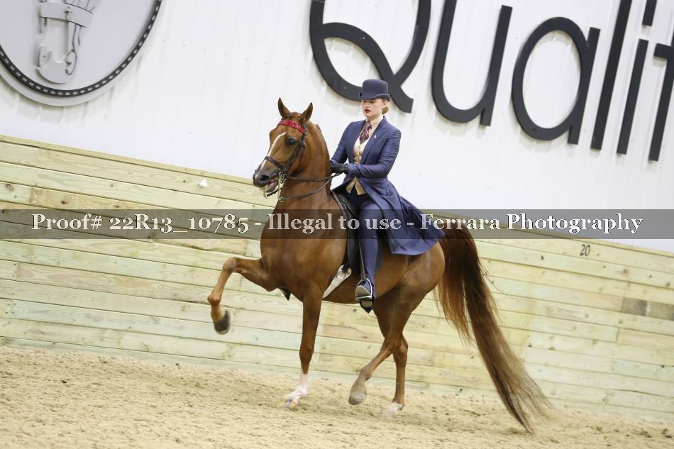 Proof 22R13_10785