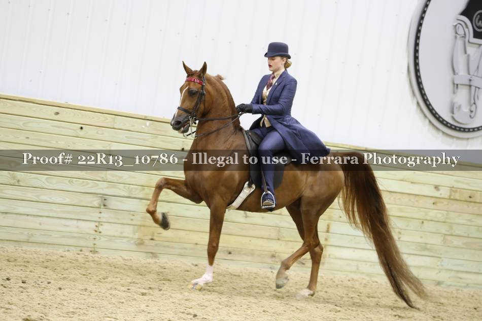 Proof 22R13_10786