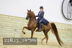 22R13_10786 proof