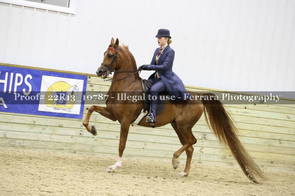 Proof 22R13_10787