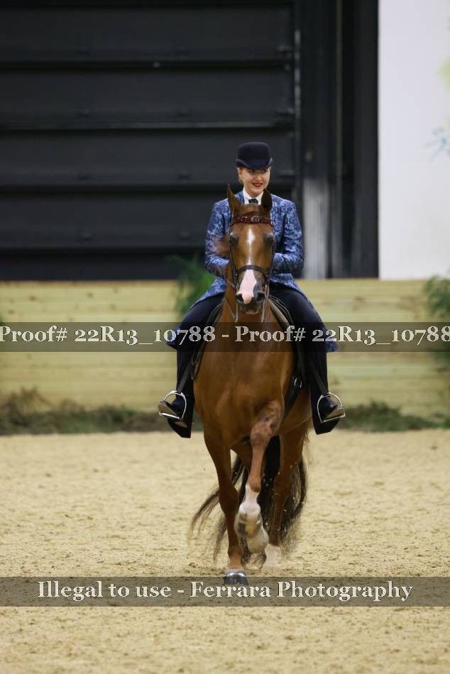 Proof 22R13_10788