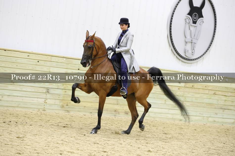 Proof 22R13_10790