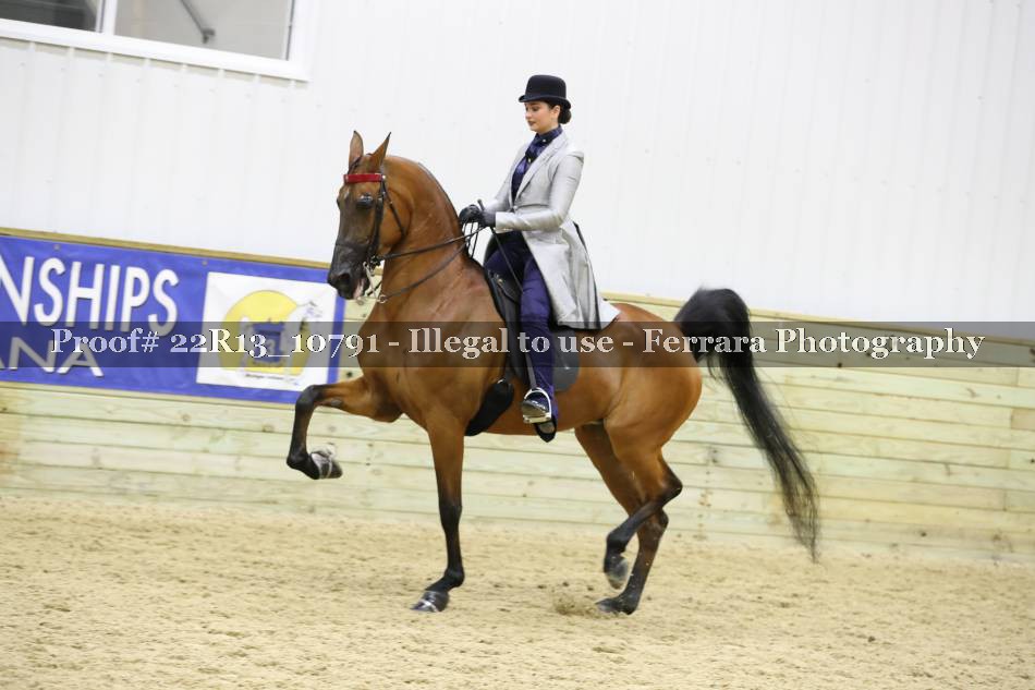 Proof 22R13_10791