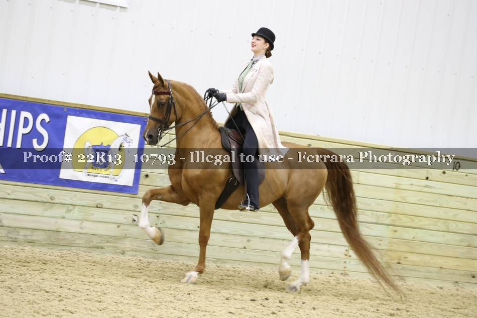 Proof 22R13_10793