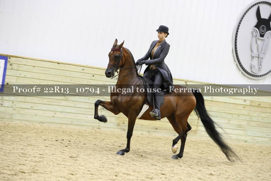 Proof 22R13_10794