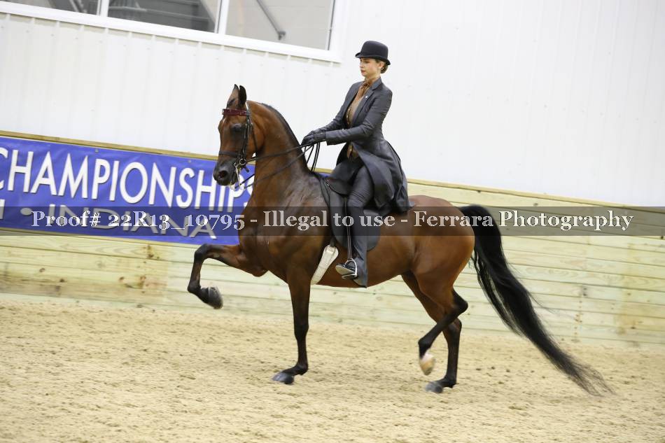 Proof 22R13_10795