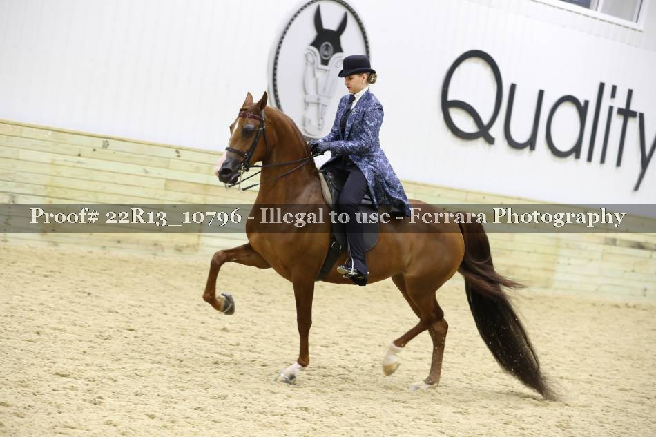 Proof 22R13_10796