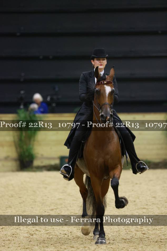 Proof 22R13_10797