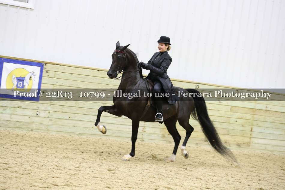 Proof 22R13_10799