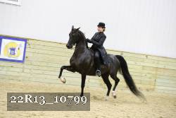 22R13_10799 proof