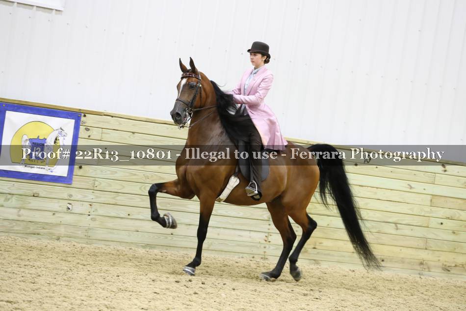 Proof 22R13_10801