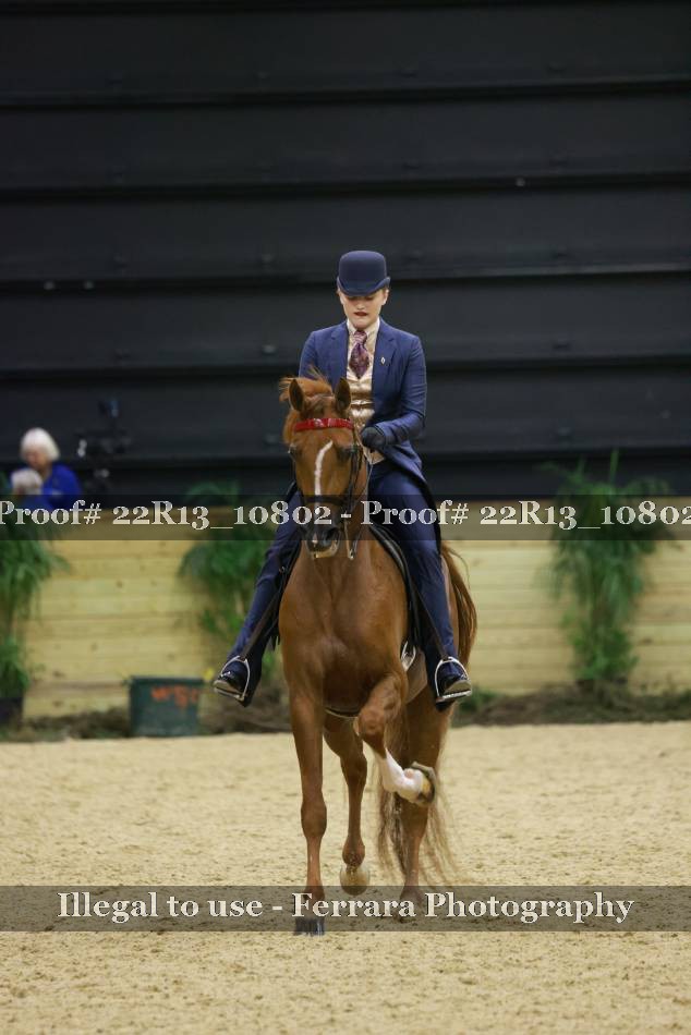Proof 22R13_10802