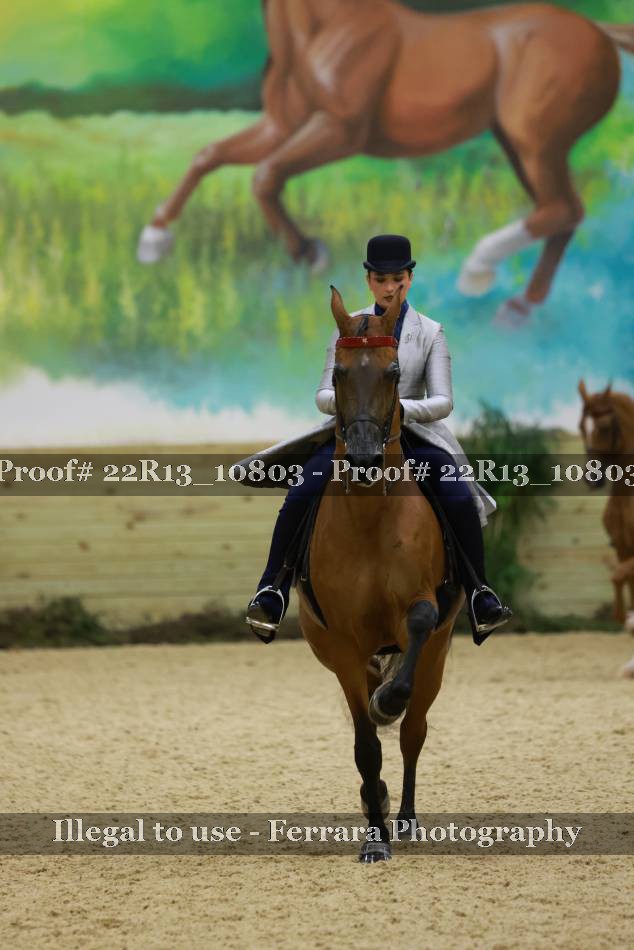 Proof 22R13_10803