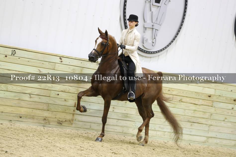 Proof 22R13_10804