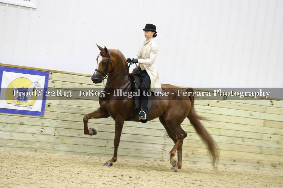 Proof 22R13_10805