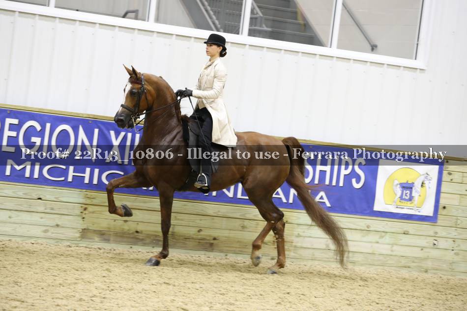 Proof 22R13_10806
