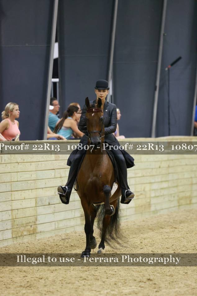 Proof 22R13_10807